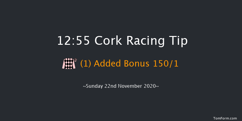 I.N.H. Stallion Owners EBF Maiden Hurdle Cork 12:55 Maiden Hurdle 16f Sun 1st Nov 2020
