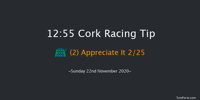 I.N.H. Stallion Owners EBF Maiden Hurdle Cork 12:55 Maiden Hurdle 16f Sun 1st Nov 2020