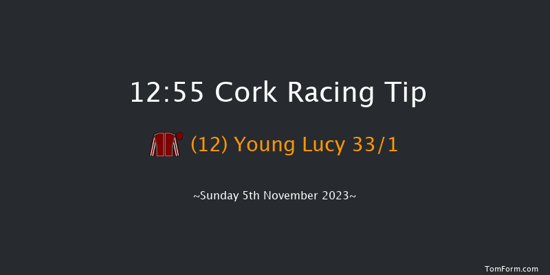 Cork 12:55 Handicap Hurdle 16f Sun 15th Oct 2023