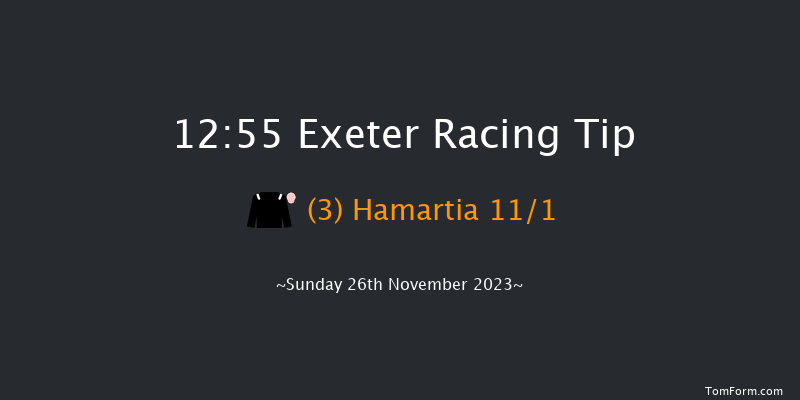 Exeter 12:55 Maiden Hurdle (Class 4) 23f Mon 20th Nov 2023