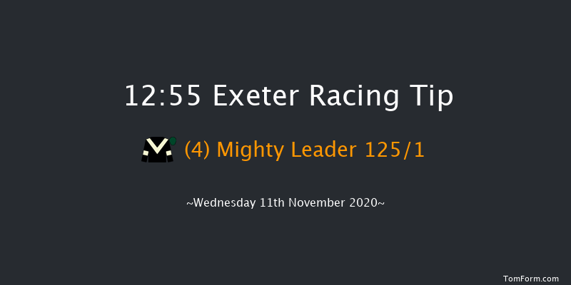 Exeter Racecourse Conditional Jockeys' Handicap Hurdle Exeter 12:55 Handicap Hurdle (Class 4) 23f Tue 3rd Nov 2020