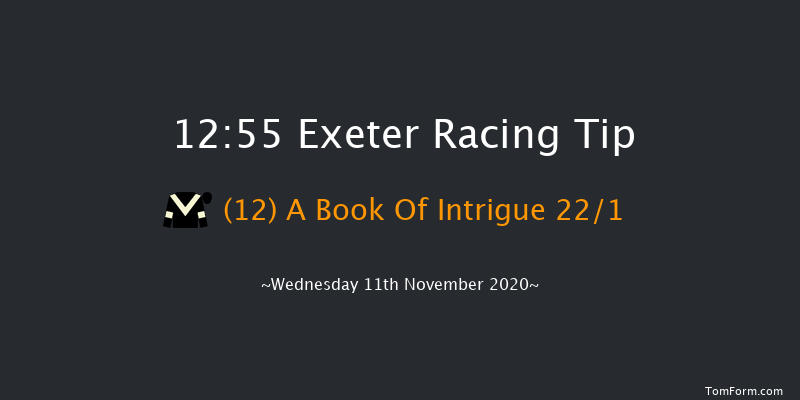 Exeter Racecourse Conditional Jockeys' Handicap Hurdle Exeter 12:55 Handicap Hurdle (Class 4) 23f Tue 3rd Nov 2020