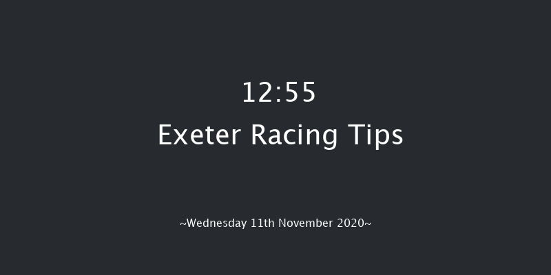 Exeter Racecourse Conditional Jockeys' Handicap Hurdle Exeter 12:55 Handicap Hurdle (Class 4) 23f Tue 3rd Nov 2020