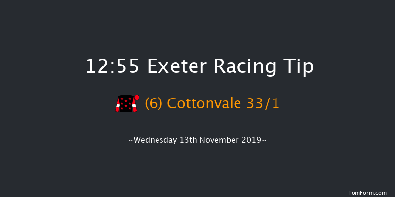 Exeter 12:55 Handicap Hurdle (Class 4) 23f Tue 5th Nov 2019