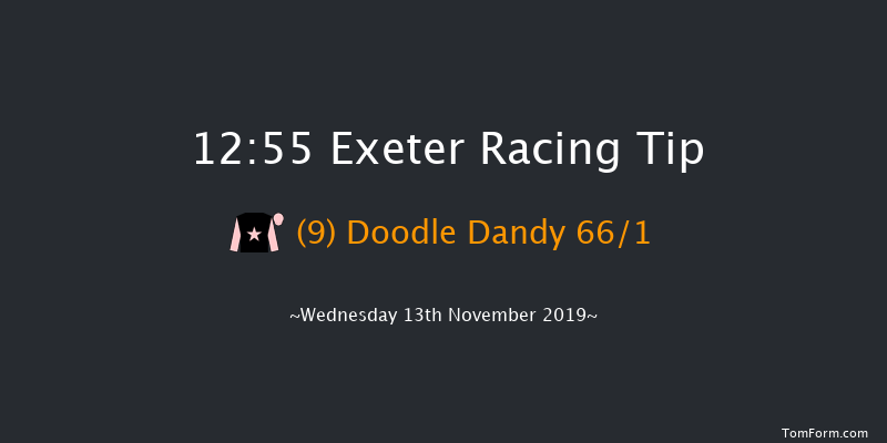 Exeter 12:55 Handicap Hurdle (Class 4) 23f Tue 5th Nov 2019