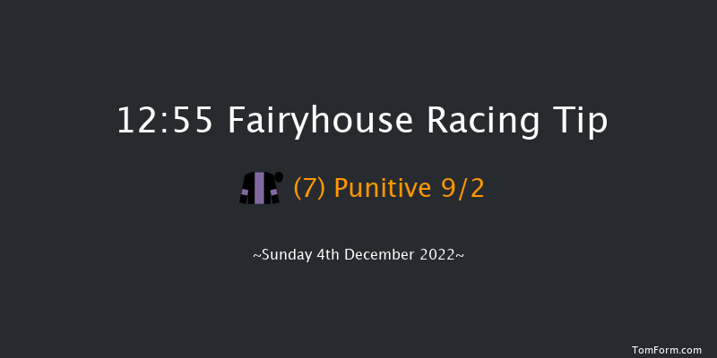 Fairyhouse 12:55 Handicap Chase 29f Sat 3rd Dec 2022