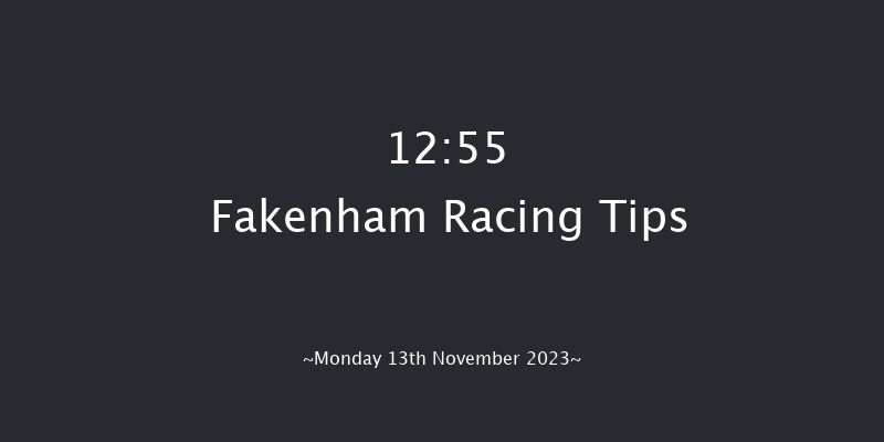 Fakenham 12:55 Handicap Hurdle (Class 5) 16f Wed 1st Nov 2023