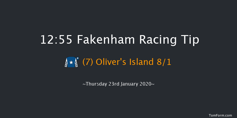 Fakenham 12:55 Handicap Hurdle (Class 5) 23f Wed 1st Jan 2020