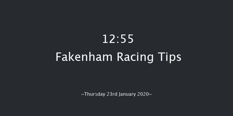 Fakenham 12:55 Handicap Hurdle (Class 5) 23f Wed 1st Jan 2020