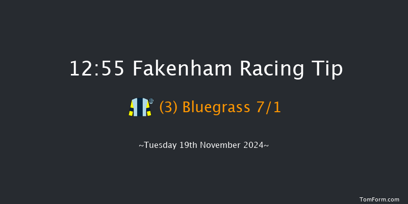 Fakenham  12:55 Handicap Hurdle (Class 4) 16f Wed 30th Oct 2024
