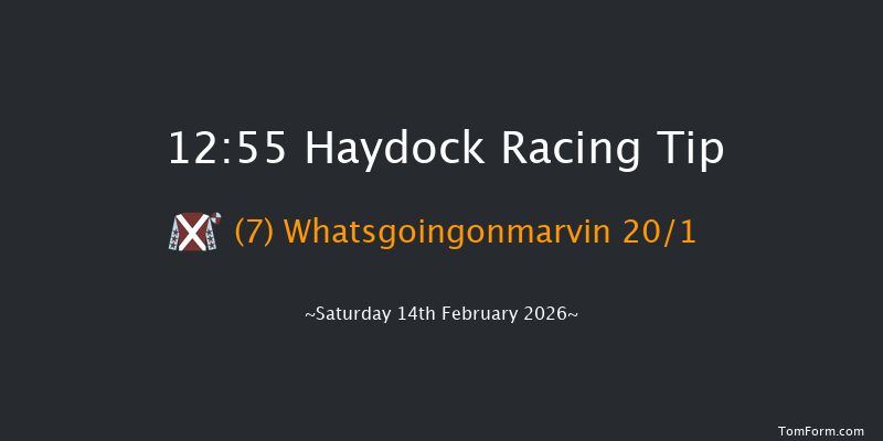 Haydock 12:55 (Class 2) 15f Sat 17th Jan 2026