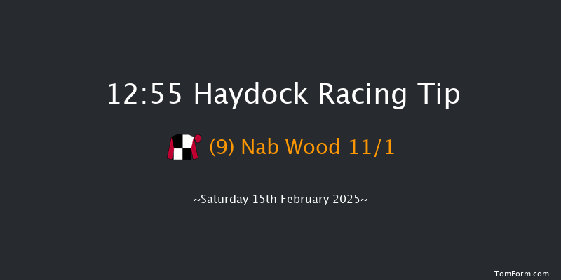 Haydock  12:55 Handicap Hurdle (Class 2) 24f Sat 18th Jan 2025