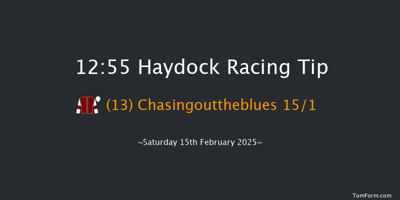 Haydock  12:55 Handicap Hurdle (Class 2) 24f Sat 18th Jan 2025