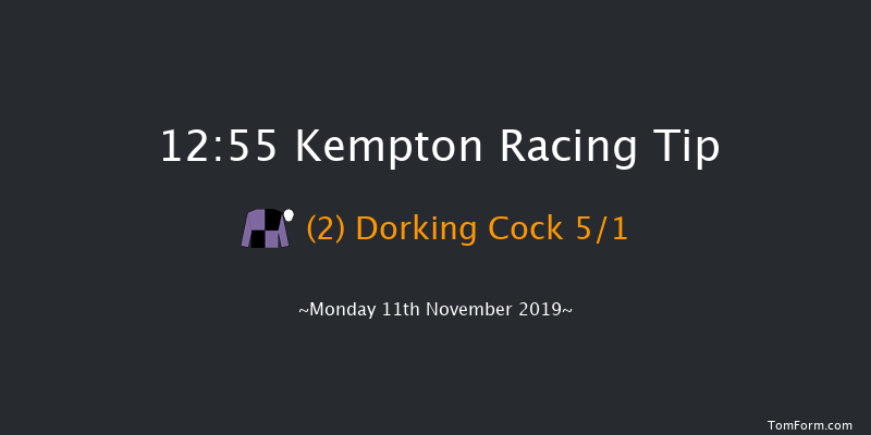 Kempton 12:55 Handicap Chase (Class 4) 20f Wed 6th Nov 2019