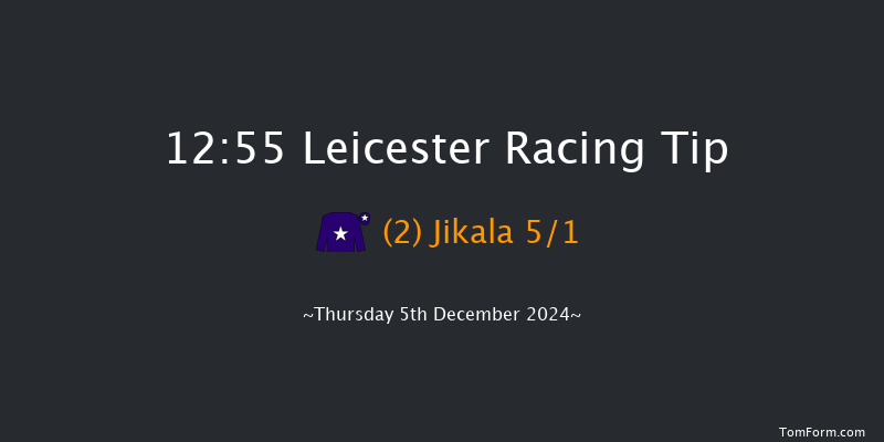 Leicester  12:55 Handicap Chase (Class 5) 23f Sun 1st Dec 2024