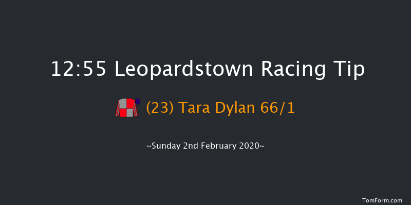 Leopardstown 12:55 Handicap Hurdle 18f Sat 1st Feb 2020