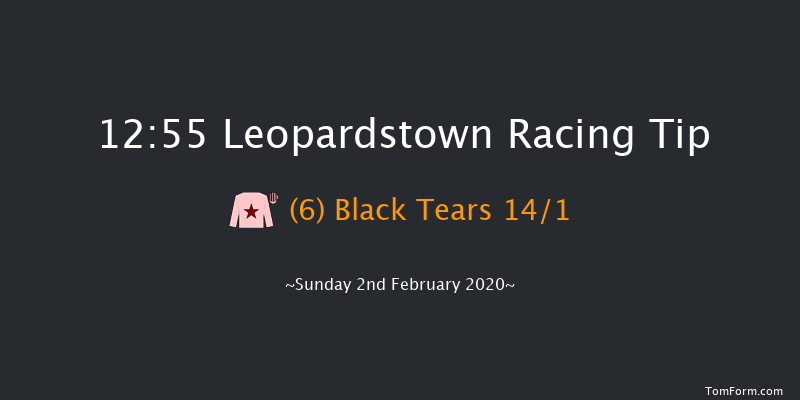 Leopardstown 12:55 Handicap Hurdle 18f Sat 1st Feb 2020