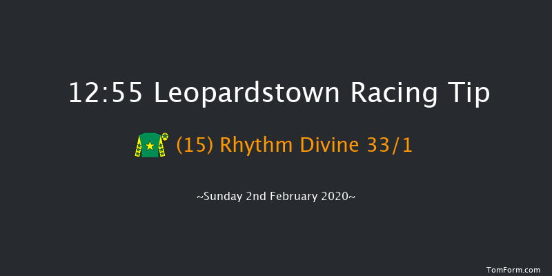 Leopardstown 12:55 Handicap Hurdle 18f Sat 1st Feb 2020