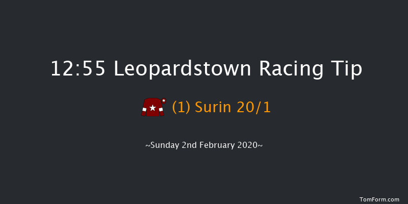 Leopardstown 12:55 Handicap Hurdle 18f Sat 1st Feb 2020