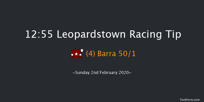 Leopardstown 12:55 Handicap Hurdle 18f Sat 1st Feb 2020