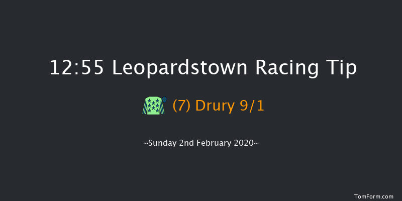 Leopardstown 12:55 Handicap Hurdle 18f Sat 1st Feb 2020