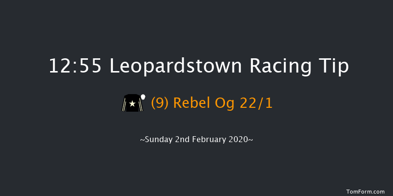 Leopardstown 12:55 Handicap Hurdle 18f Sat 1st Feb 2020