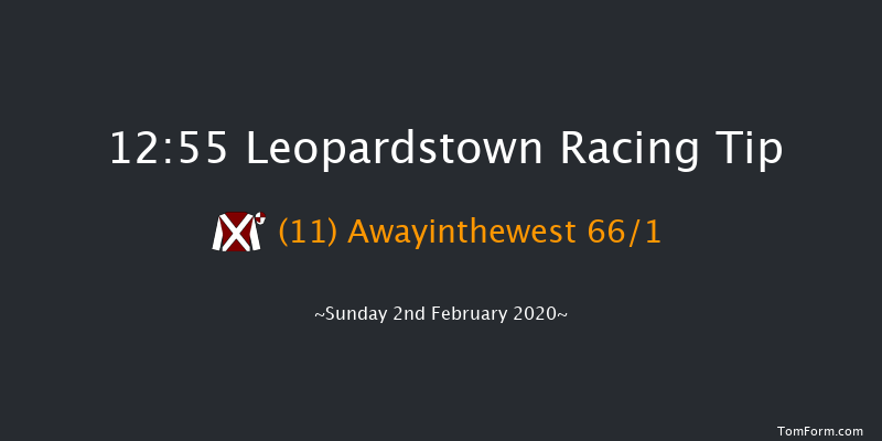 Leopardstown 12:55 Handicap Hurdle 18f Sat 1st Feb 2020