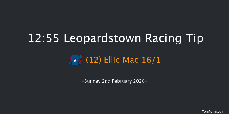 Leopardstown 12:55 Handicap Hurdle 18f Sat 1st Feb 2020