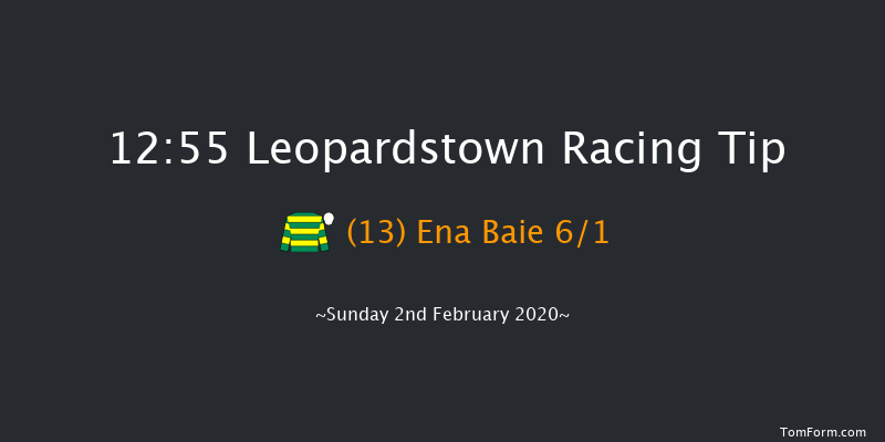 Leopardstown 12:55 Handicap Hurdle 18f Sat 1st Feb 2020