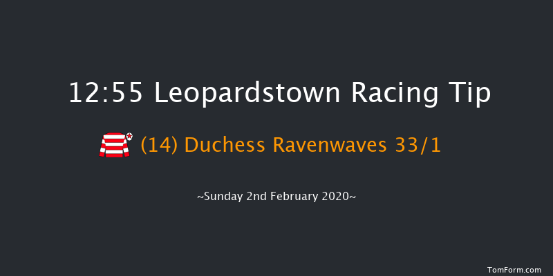 Leopardstown 12:55 Handicap Hurdle 18f Sat 1st Feb 2020