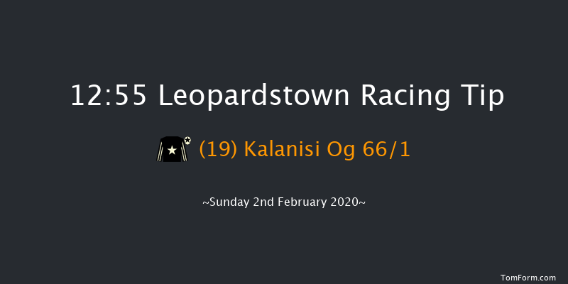Leopardstown 12:55 Handicap Hurdle 18f Sat 1st Feb 2020