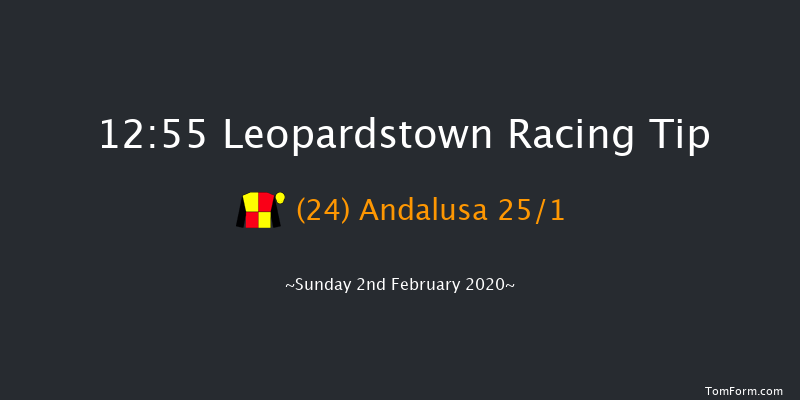 Leopardstown 12:55 Handicap Hurdle 18f Sat 1st Feb 2020