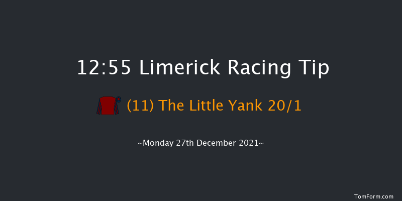 Limerick 12:55 Maiden Chase 18f Sun 26th Dec 2021
