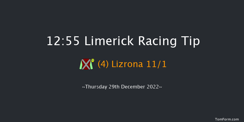 Limerick 12:55 Handicap Chase 22f Wed 28th Dec 2022