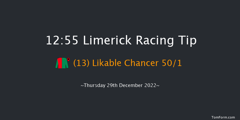 Limerick 12:55 Handicap Chase 22f Wed 28th Dec 2022