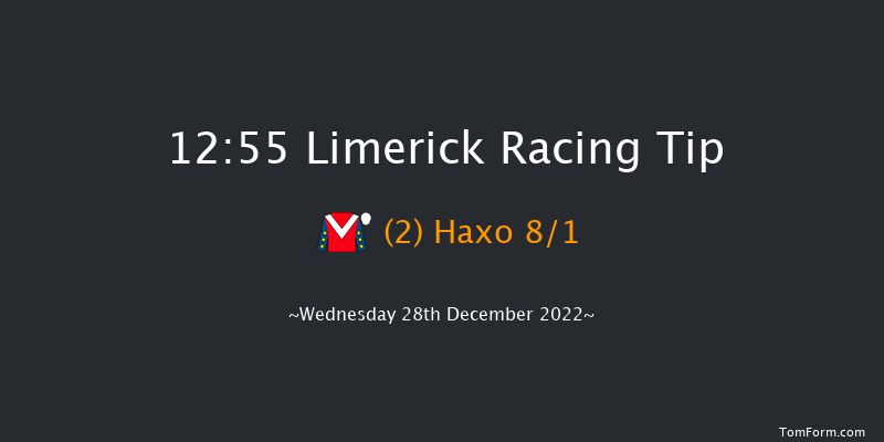 Limerick 12:55 Maiden Hurdle 21f Tue 27th Dec 2022