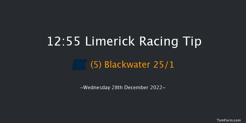 Limerick 12:55 Maiden Hurdle 21f Tue 27th Dec 2022