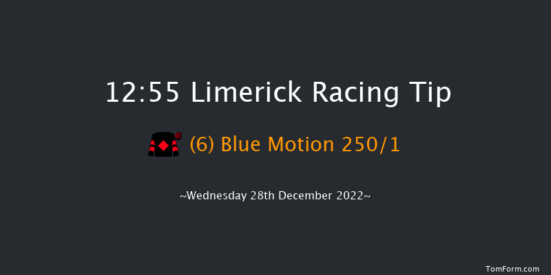 Limerick 12:55 Maiden Hurdle 21f Tue 27th Dec 2022