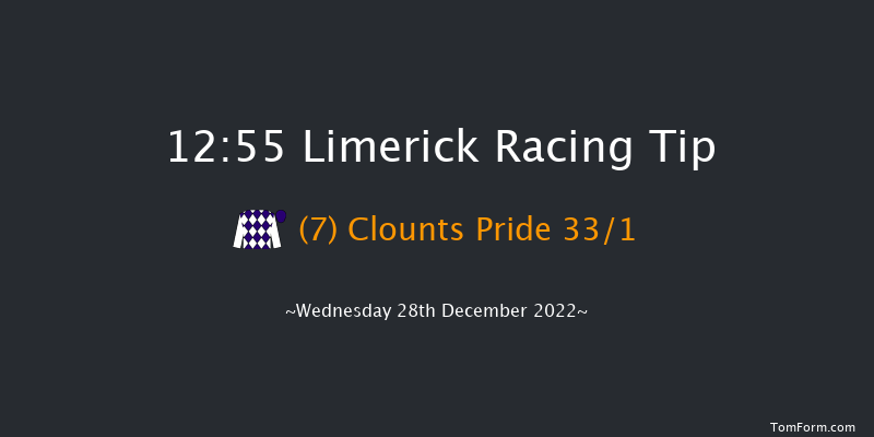 Limerick 12:55 Maiden Hurdle 21f Tue 27th Dec 2022