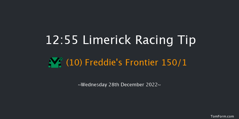 Limerick 12:55 Maiden Hurdle 21f Tue 27th Dec 2022