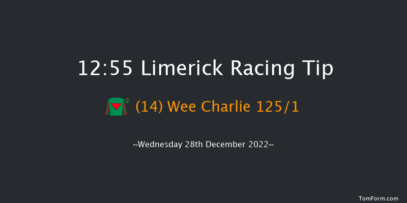 Limerick 12:55 Maiden Hurdle 21f Tue 27th Dec 2022