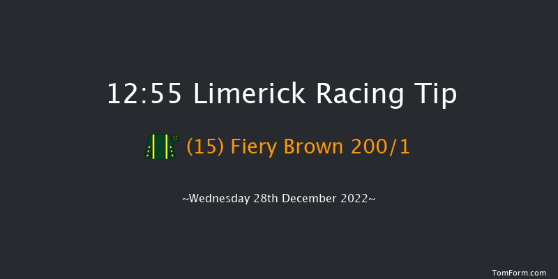 Limerick 12:55 Maiden Hurdle 21f Tue 27th Dec 2022
