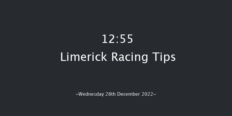 Limerick 12:55 Maiden Hurdle 21f Tue 27th Dec 2022