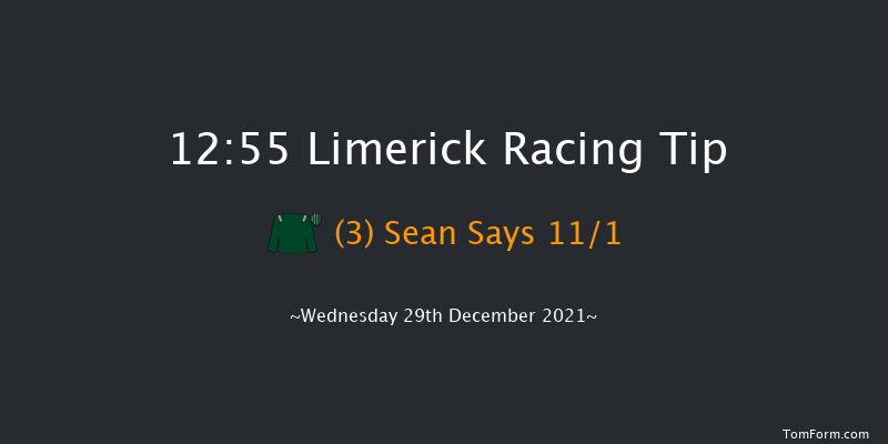 Limerick 12:55 Handicap Chase 22f Tue 28th Dec 2021