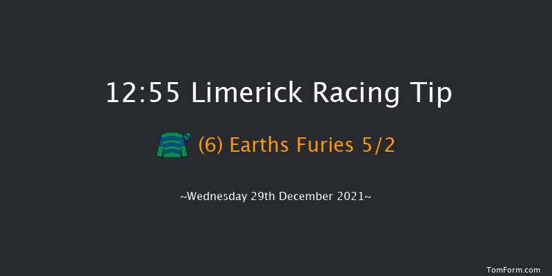 Limerick 12:55 Handicap Chase 22f Tue 28th Dec 2021
