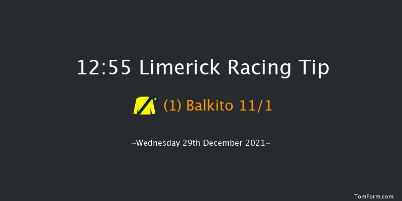 Limerick 12:55 Handicap Chase 22f Tue 28th Dec 2021