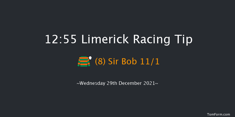 Limerick 12:55 Handicap Chase 22f Tue 28th Dec 2021