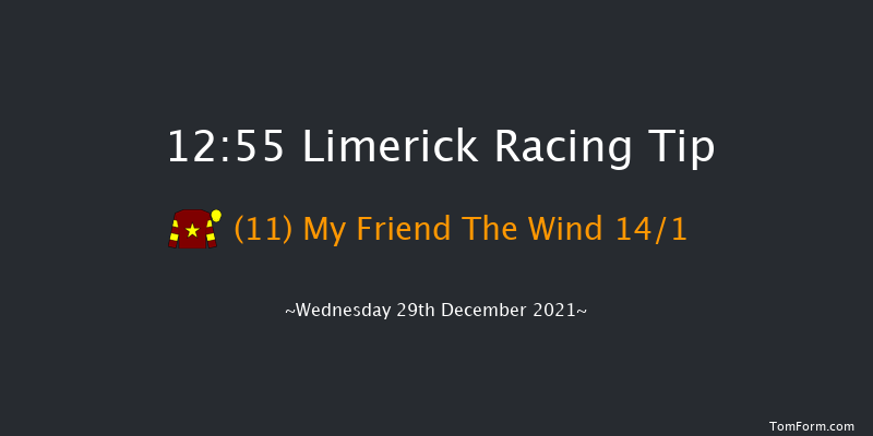 Limerick 12:55 Handicap Chase 22f Tue 28th Dec 2021