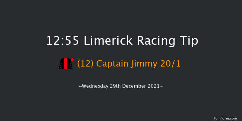 Limerick 12:55 Handicap Chase 22f Tue 28th Dec 2021