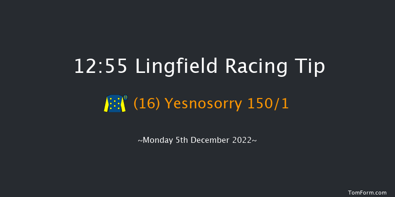 Lingfield 12:55 Maiden Hurdle (Class 4) 16f Wed 30th Nov 2022